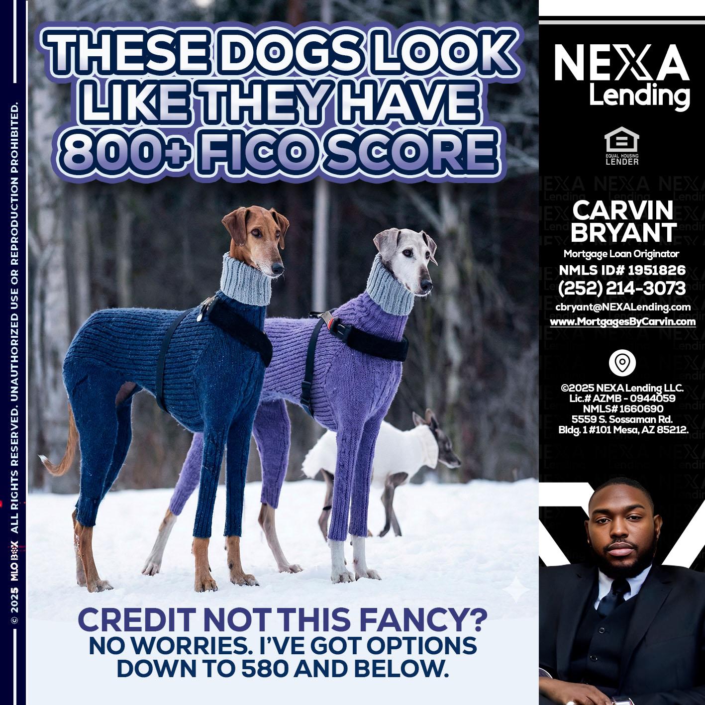 THESE DOGS LOOK - Carvin Bryant -Mortgage Loan Originator